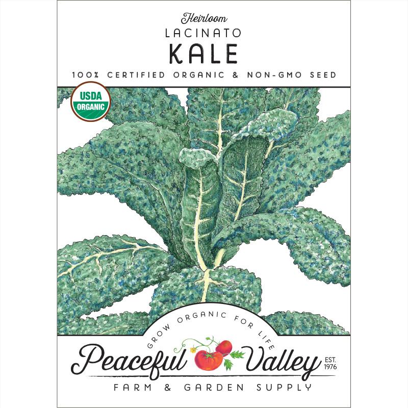 Lacinato Kale Seeds (Organic) - Blessings Grow Meadows