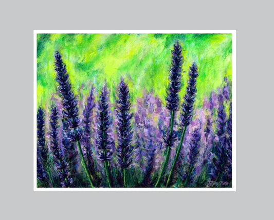 Lavendar Fields Forever - Fine Art Print - Multiple Sizes - Blessings Grow Meadows -