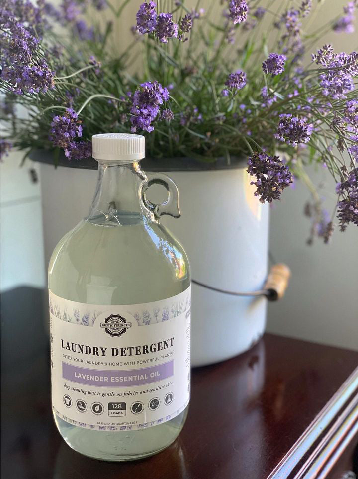 A clear glass bottle of Rustic Strength Laundry Detergent | Unscented rests on a dark wooden surface, positioned before a white metal bucket overflowing with fresh lavender flowers.