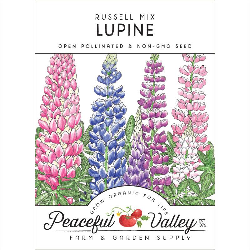 Lupine, Russell (pack) - Blessings Grow Meadows