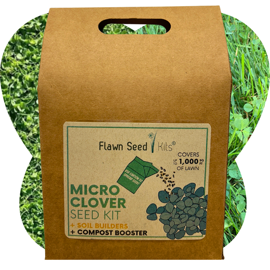 Micro Clover Seed Eco-Spread Carton - Blessings Grow Meadows