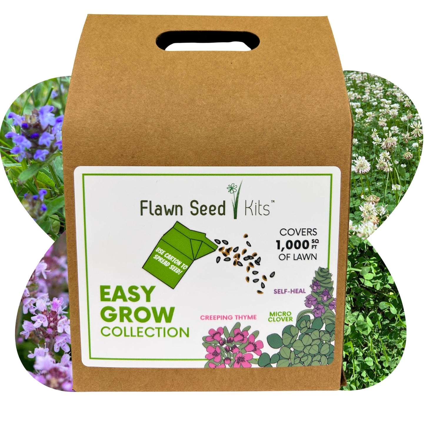 Easy Grow Micro Bee Lawn Eco-Friendly Kit - Blessings Grow Meadows