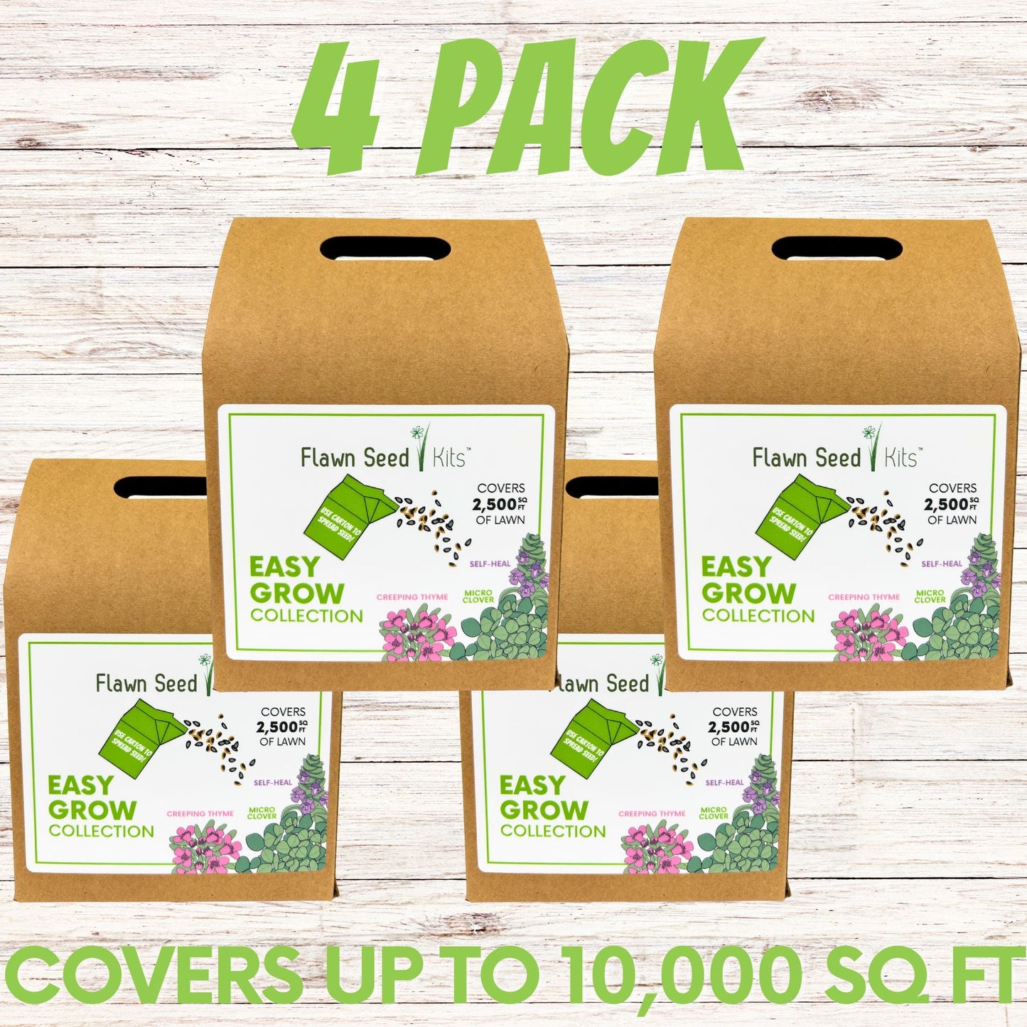 Easy Grow Micro Bee Lawn Eco-Friendly Kit - Blessings Grow Meadows