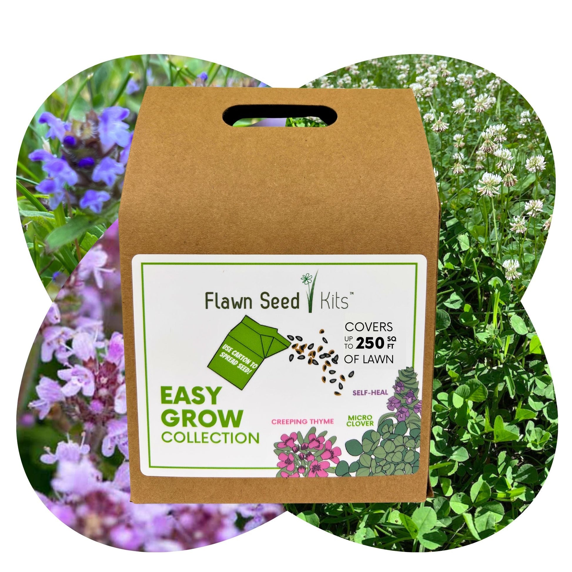Easy Grow Micro Bee Lawn Eco-Friendly Kit - Blessings Grow Meadows