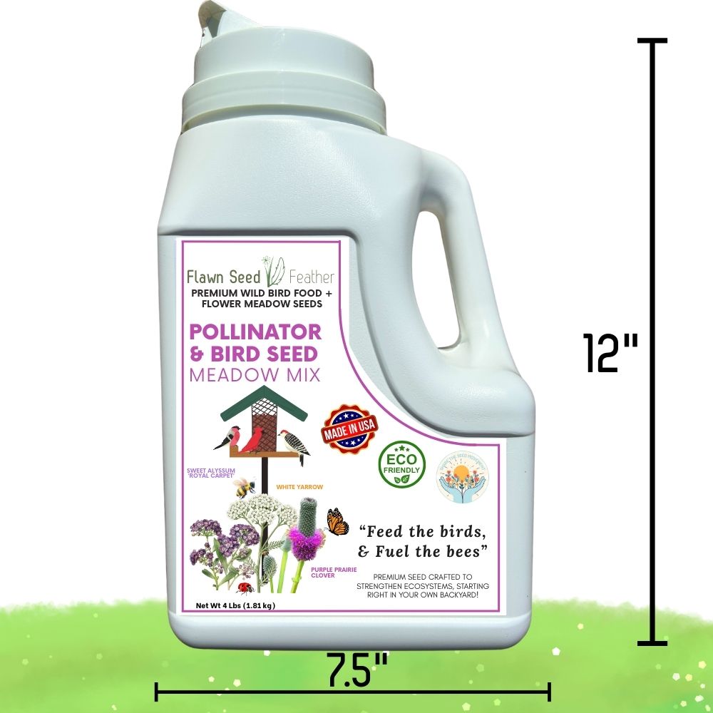 4lb jug of Flawn Seed Kits pollinator and wild bird seed meadow mix with a variety of seeds for attracting pollinators and birds.