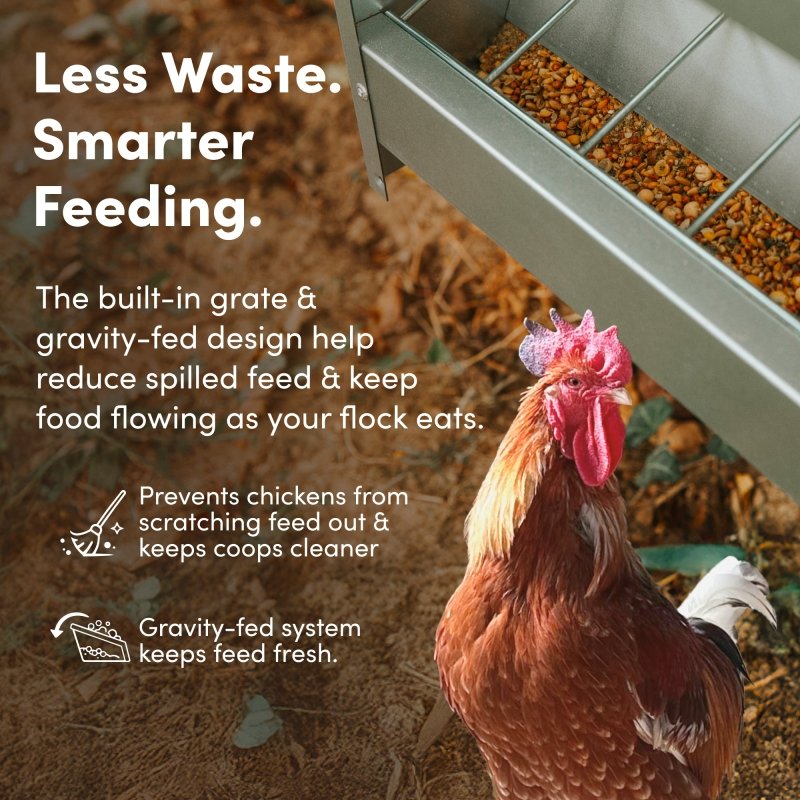 RentACoop galvanized chicken feeder with 10lb capacity, durable metal design for outdoor poultry feeding.