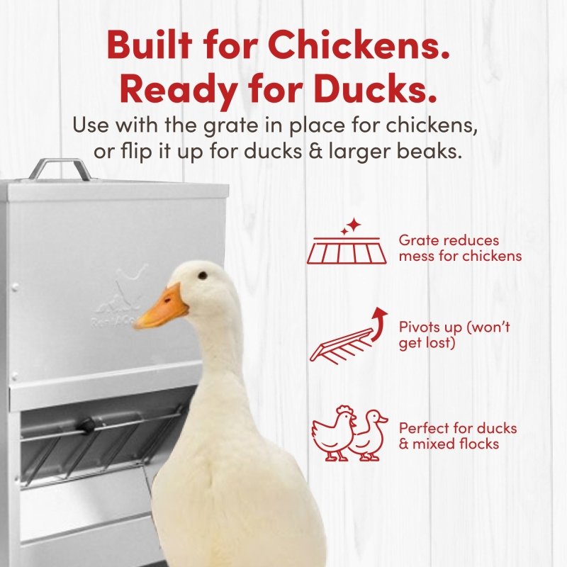 RentACoop 10lb galvanized chicken feeder with durable design and feeding ports, ideal for poultry feeding.
