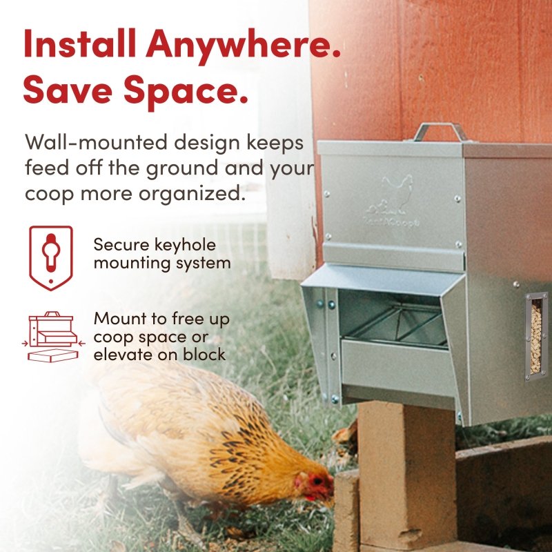 RentACoop galvanized chicken feeder, 10lb capacity, durable metal design, suitable for poultry feed, shown in the image.