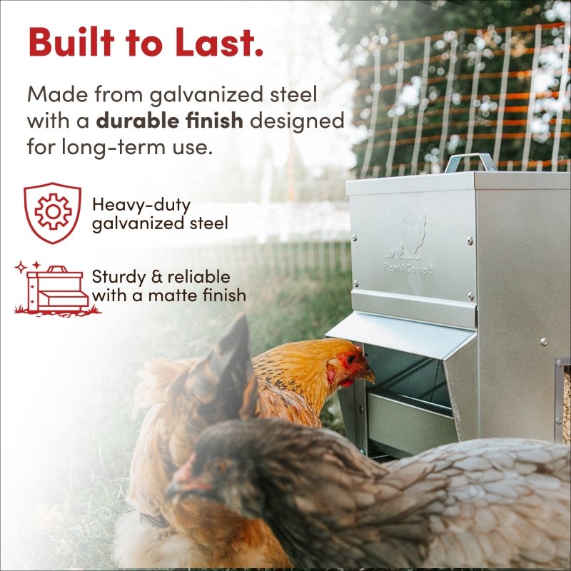 RentACoop 10lb galvanized chicken feeder with durable design and feed opening, suitable for poultry feeding.