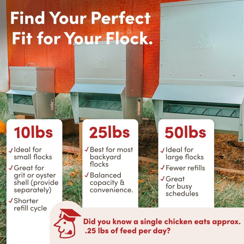 RentACoop galvanized chicken feeder with 25lb capacity, sturdy metal construction, and feed opening for poultry feeding.