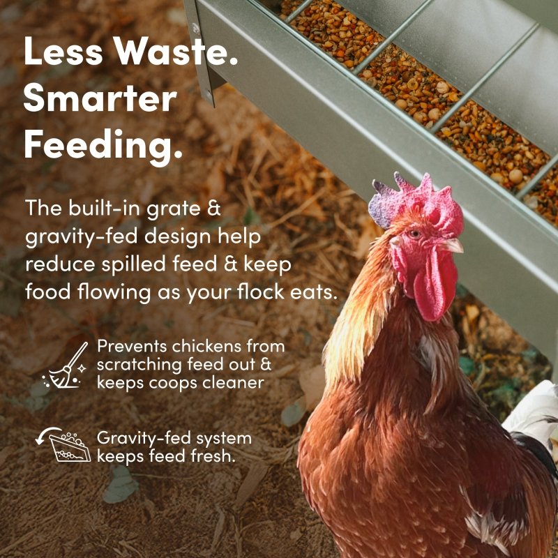 RentACoop galvanized chicken feeder with 25lb capacity, featuring a durable design for poultry feed dispensing.