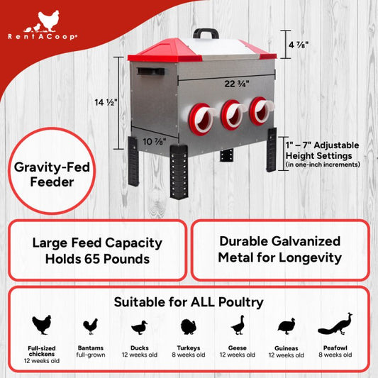 RentACoop Flock Feeder 65 6-Port Feeder