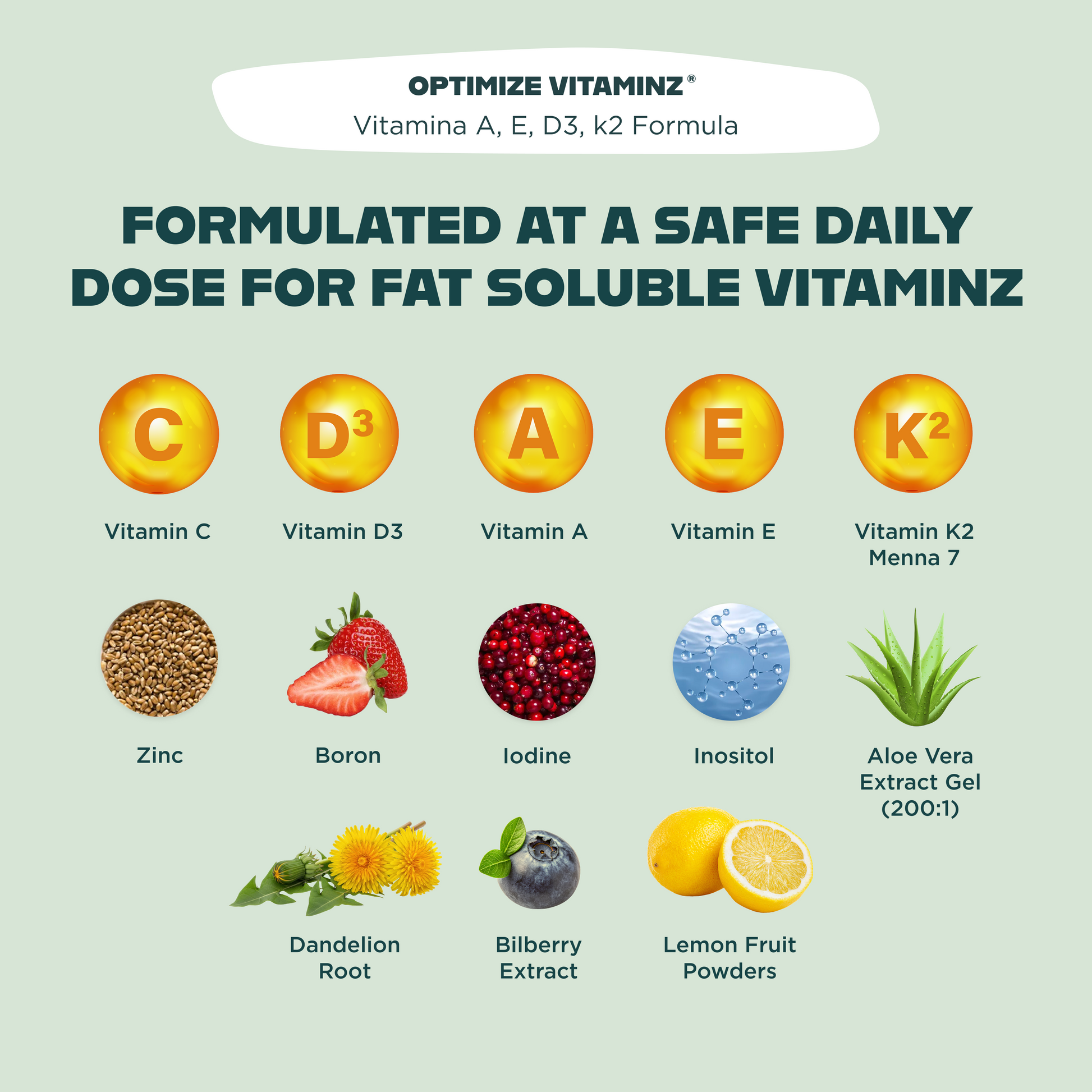 MVP Bundle! - Blessings Grow Meadows