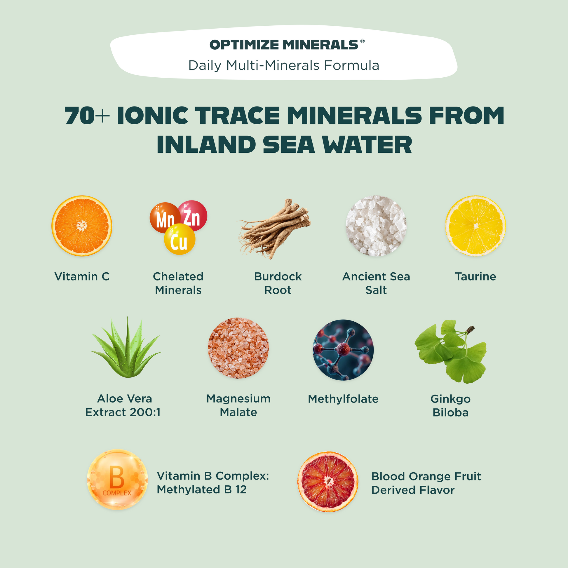 MVP Bundle! - Blessings Grow Meadows