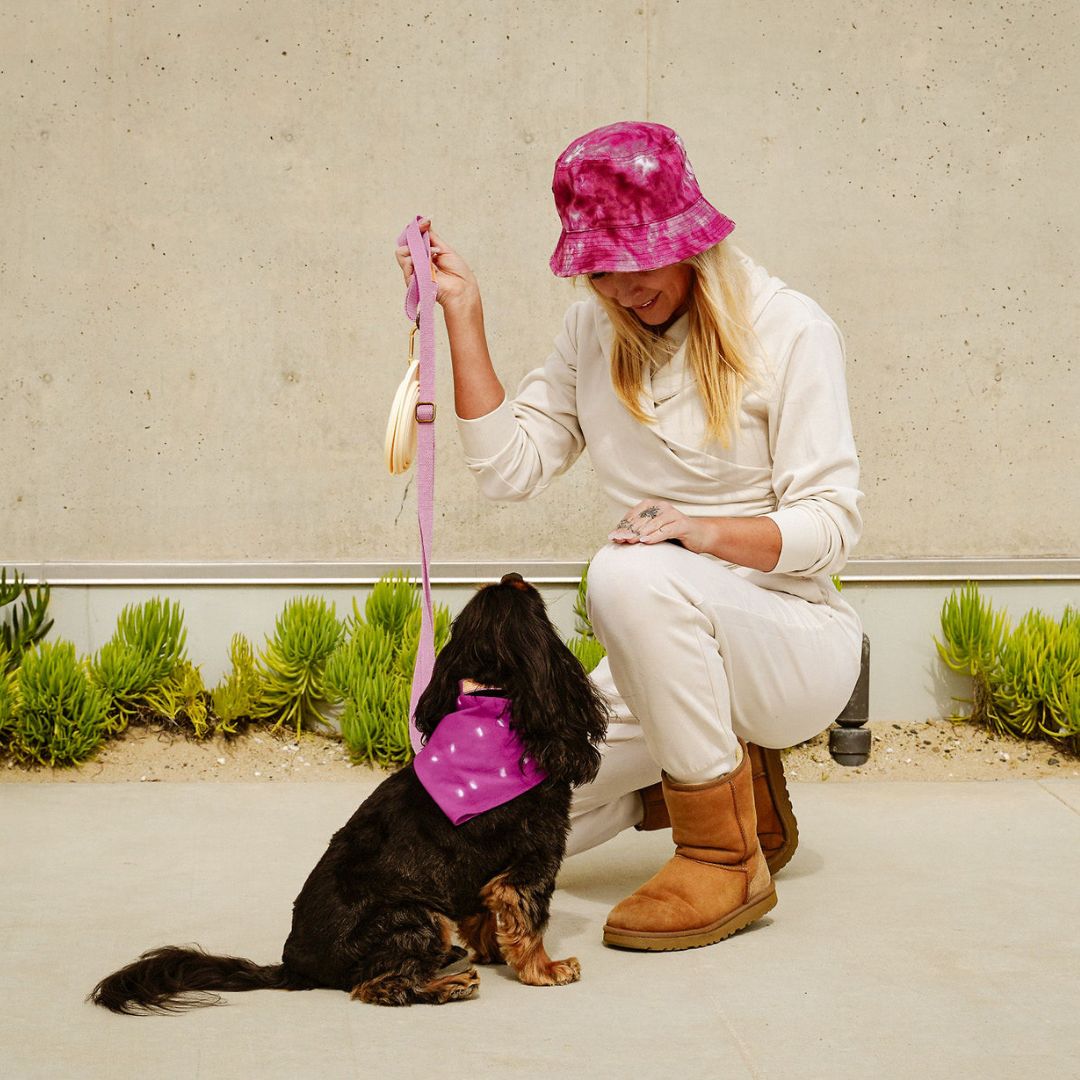 Tilley + Me hemp cotton dog leash and collar set, lightweight, soft, adjustable and durable for small to medium dogs.