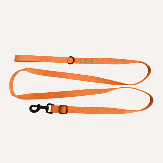 Durable hemp cotton dog leash and collar set from Tilley + Me, lightweight, adjustable, soft, and sustainable for everyday walks.