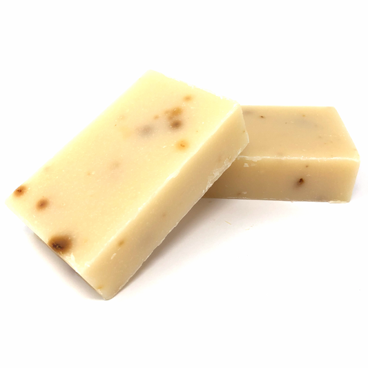 Mango  Papaya Enzyme Bar - Blessings Grow Meadows -