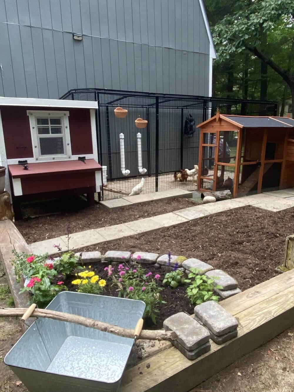 Medium Chicken Coop - Up to 10 Chickens - OverEZ Chicken Coop ~ Blessings Grow Meadows