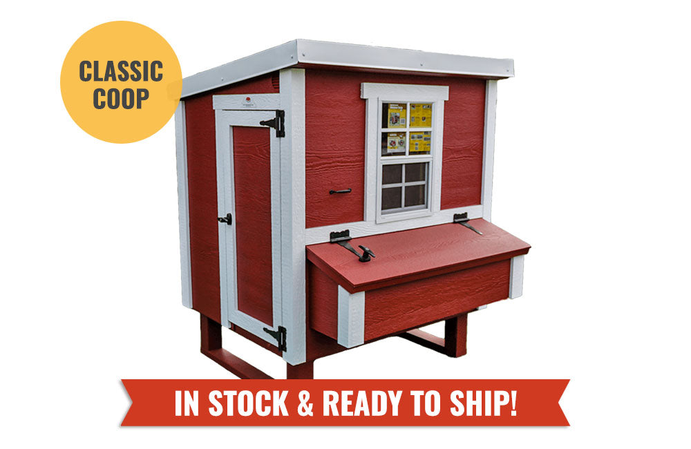 Medium Chicken Coop - Up to 10 Chickens - OverEZ Chicken Coop ~ Blessings Grow Meadows