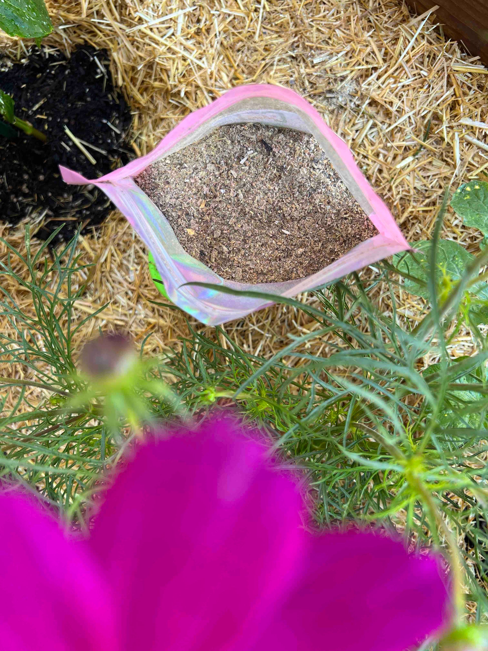 A close-up of an open bag of Memes Premium Worm Chow by Memes Worms, surrounded by green plants and straw with a bright pink flower in the foreground—perfect for enriching your composting bin.