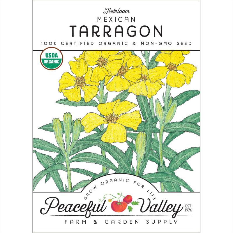 Mexican Tarragon Seeds (Organic) - Blessings Grow Meadows