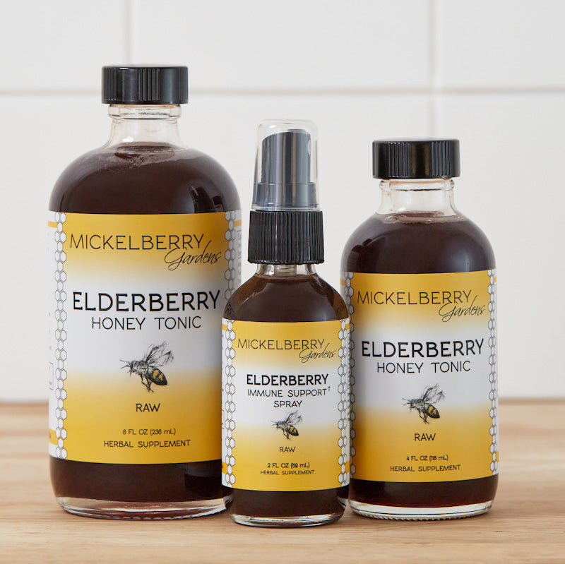 Elderberry Honey Tonic - Mickelberry Gardens ~ Blessings Grow Meadows