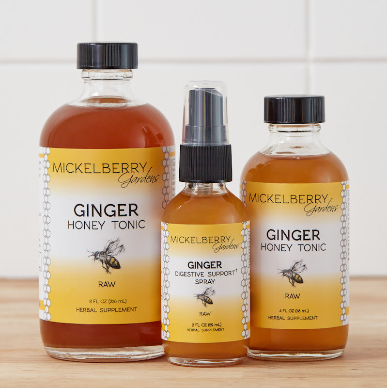 Ginger Honey Tonic - Mickelberry Gardens ~ Blessings Grow Meadows