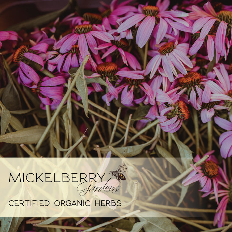 Throat and Lung Honey Tonic - Mickelberry Gardens ~ Blessings Grow Meadows