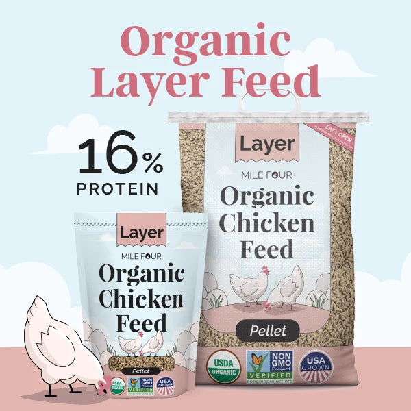 Layer Organic Chicken Feed - Blessings Grow Meadows