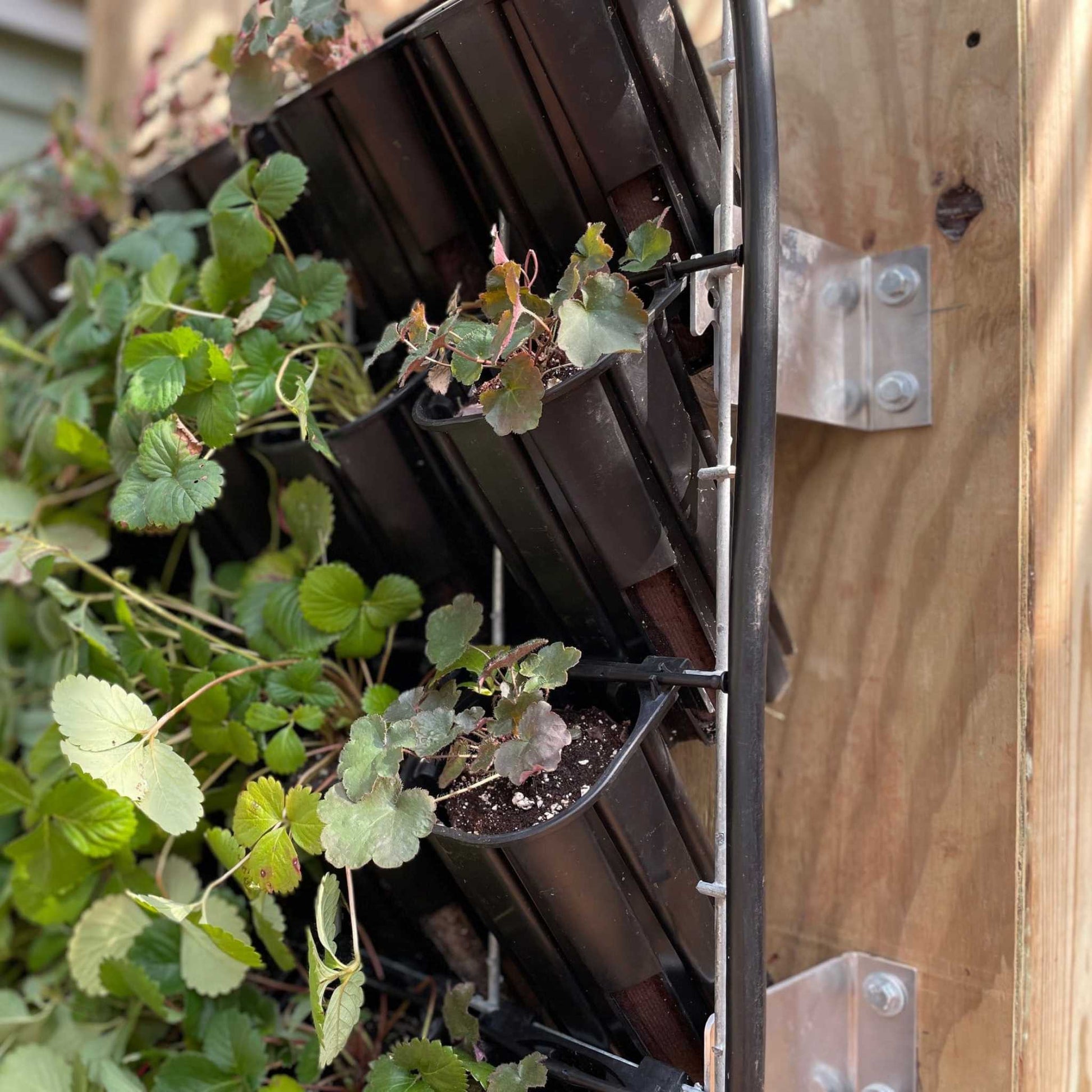 Mounting Cleats - Bootstrap Farmer ~ Blessings Grow Meadows