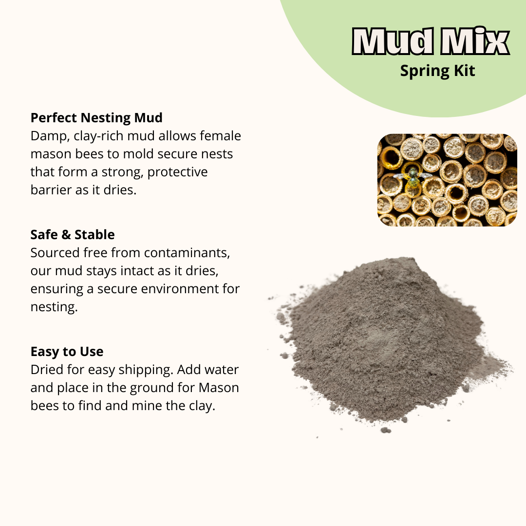 Cabana Bee House & Complete Kit with Bee Certificate - Blessings Grow Meadows