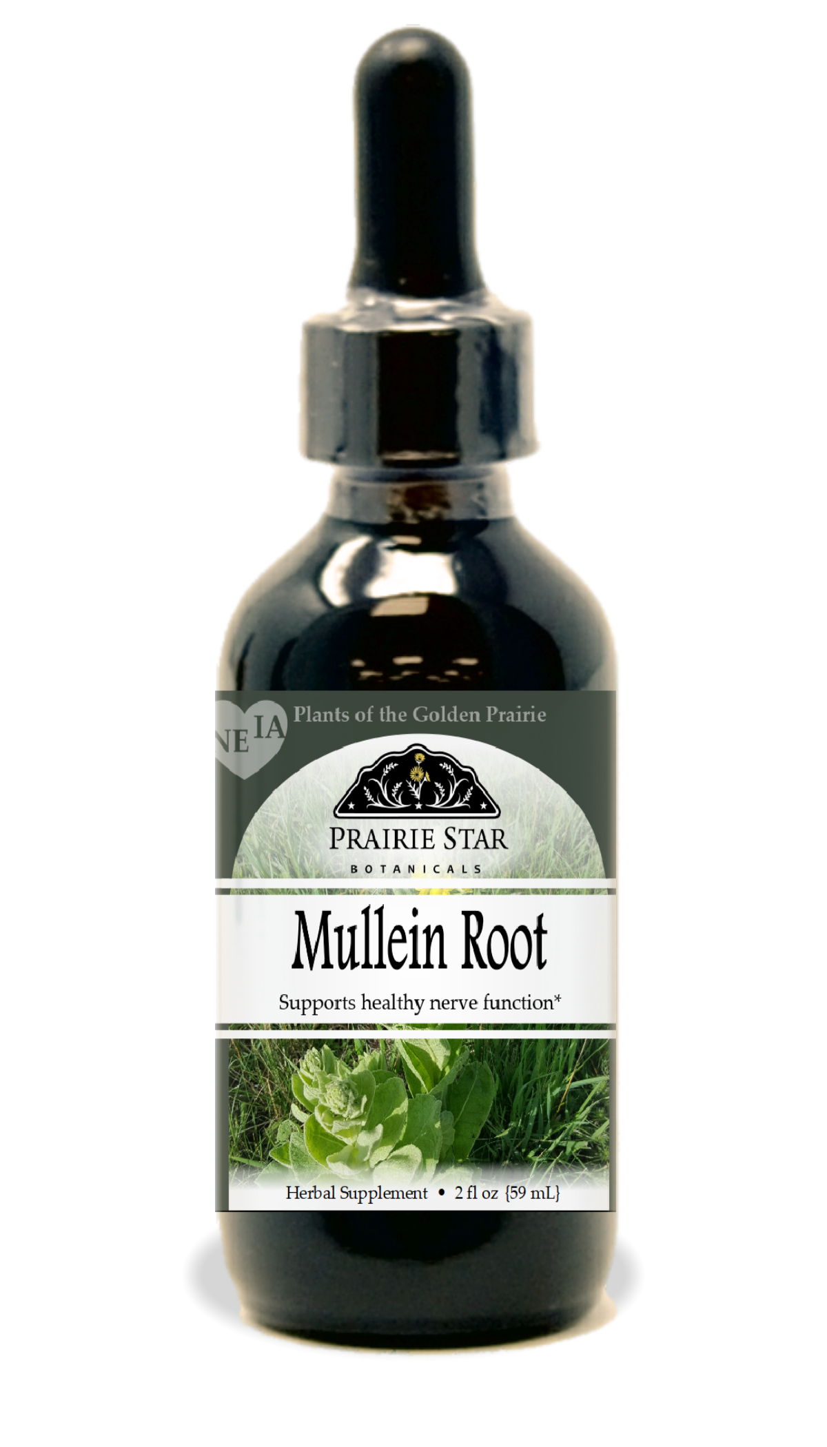 Dried mullein root in a natural state, shown as a single botanical product from Prairie Star Botanicals.