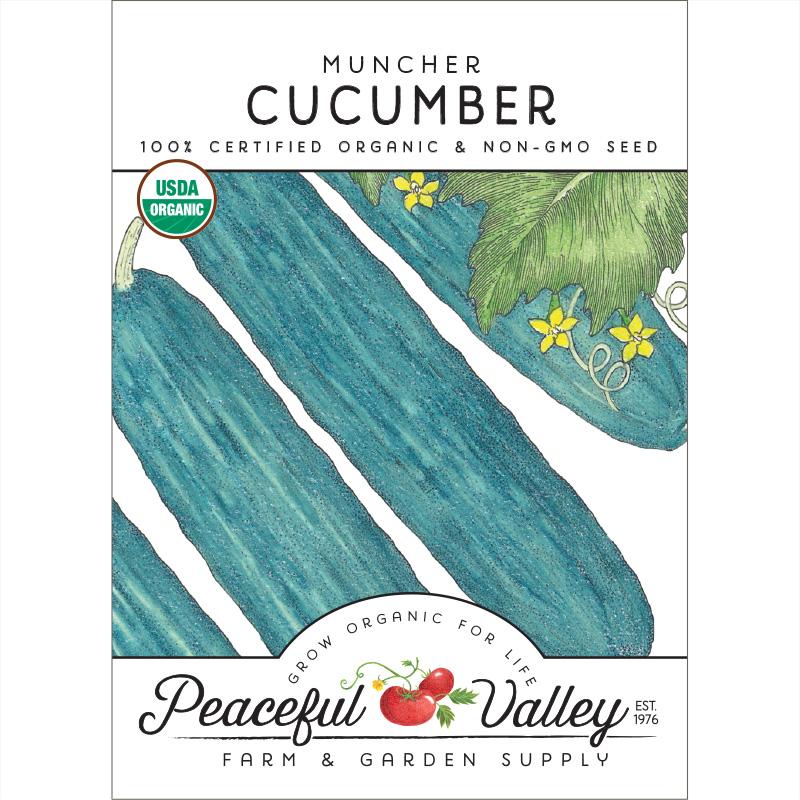 Muncher Cucumber Seeds (Organic) - Blessings Grow Meadows