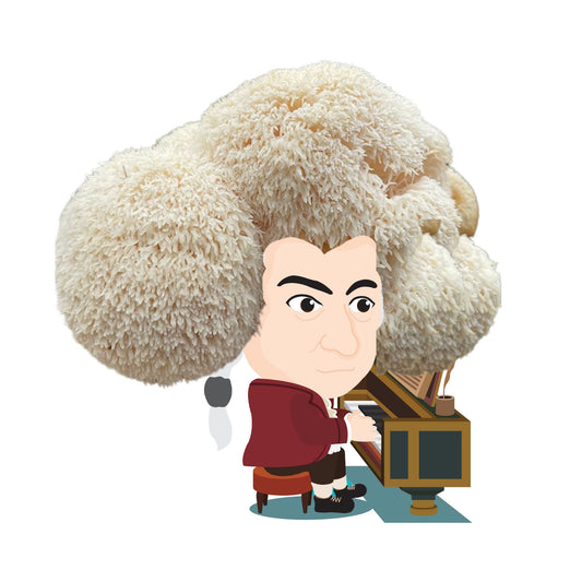 Muzhart the Composter - Lion's Mane Mushroom Grow Kit - 6.5 LBS - Blessings Grow Meadows