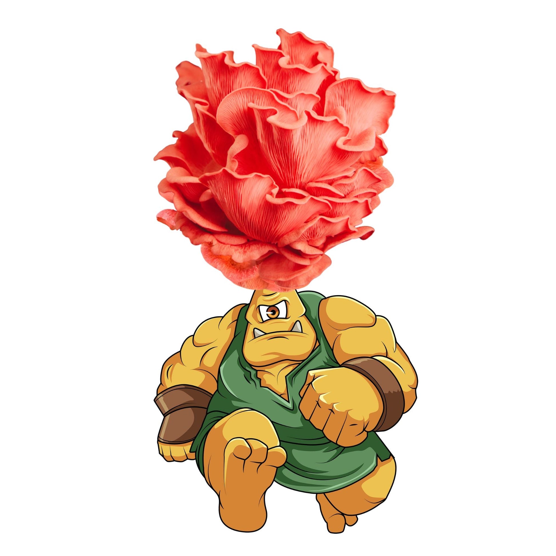 Myclops - Pink Oyster Mushroom Grow Kit - 6.5 LBS - Blessings Grow Meadows