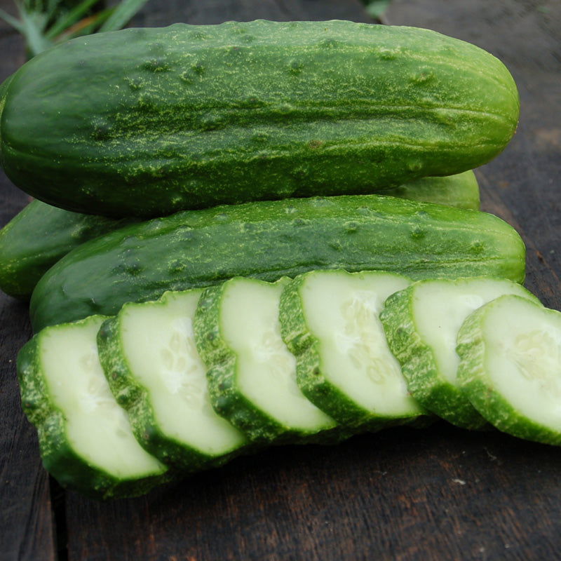 National Pickling Cucumber Seeds (Organic) - Blessings Grow Meadows