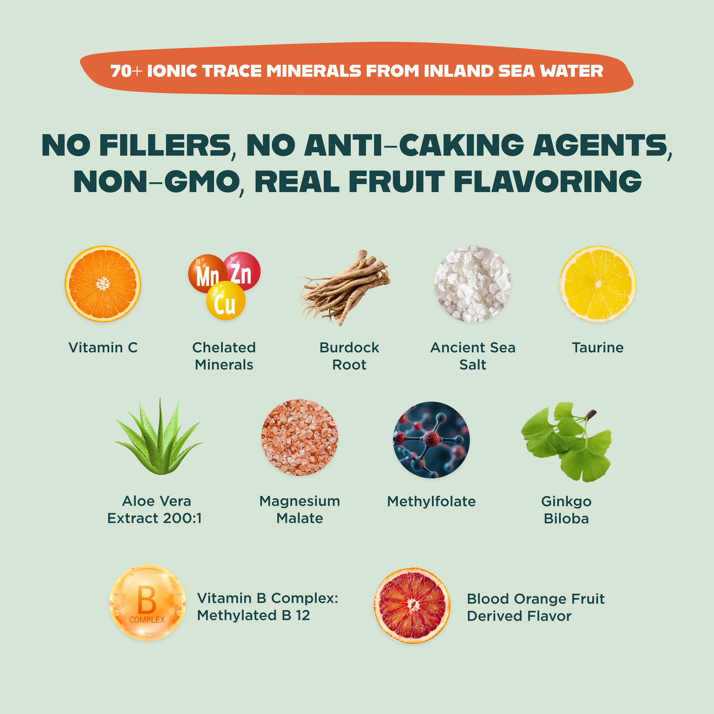 OPTIMIZE MINERALS AND VITAMINZ BUNDLE™️ - Blessings Grow Meadows