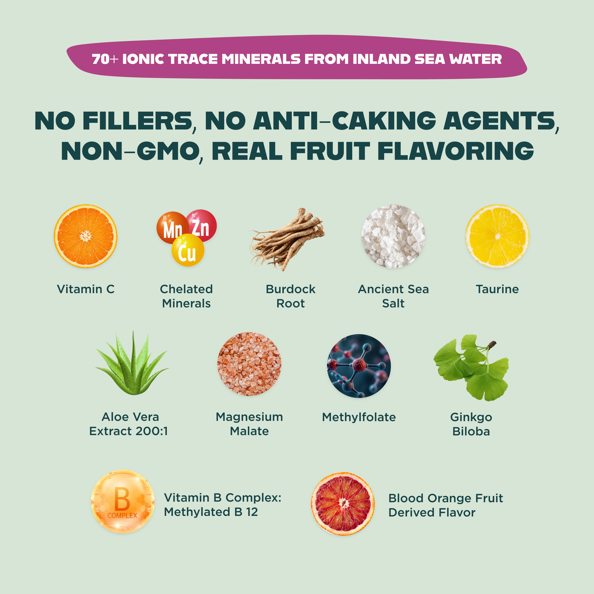 OPTIMIZE MINERALS AND VITAMINZ BUNDLE™️ - Blessings Grow Meadows