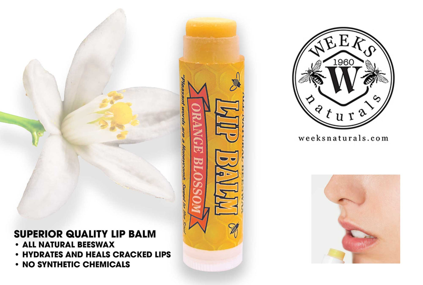 A tube of Weeks Honey Farm Weeks All Natural Beeswax Lip Balm is featured with a white flower, product details, and someone applying it. Text highlights this natural balm’s healing properties and nourishing moisture for lips. Available in singles, twin packs, or case.