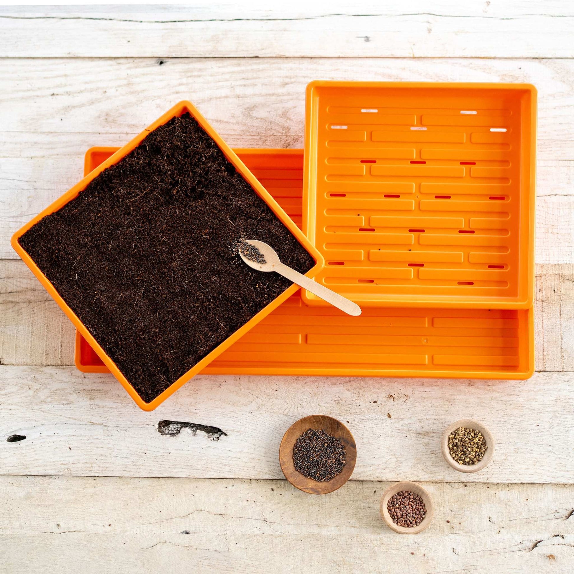 1010 Microgreens Kit - Blessings Grow Meadows