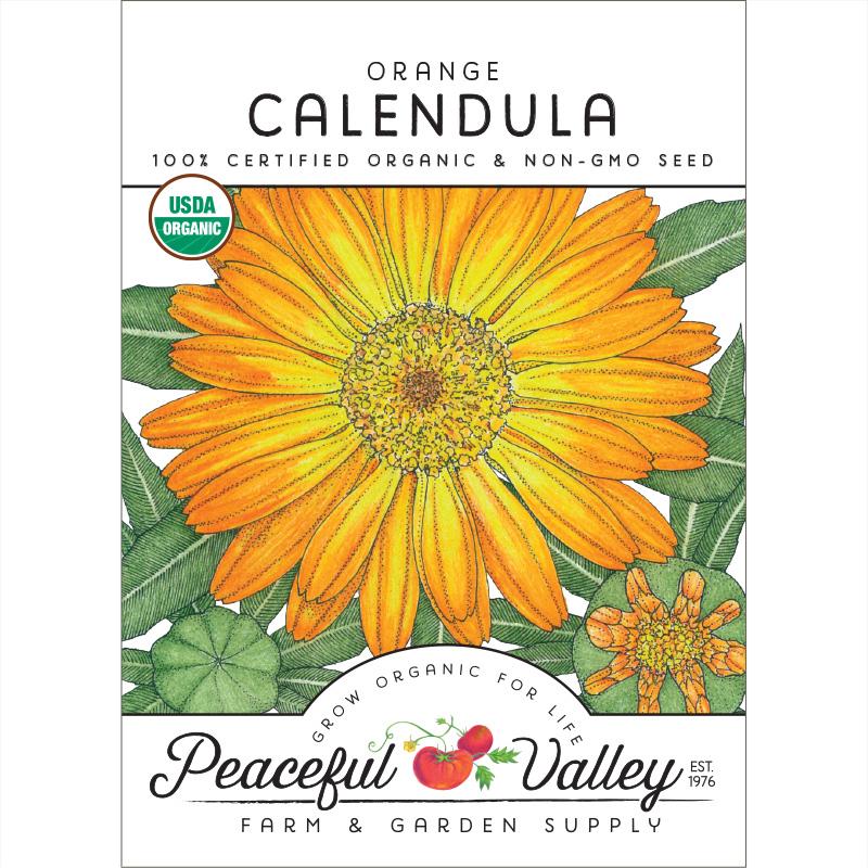 Orange Calendula Seeds (Organic) - Blessings Grow Meadows