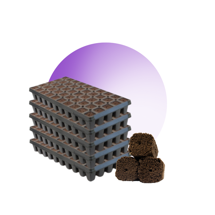 Pre-filled tray of 50 tall OrganiPlug seed and cutting plugs for planting and propagation, by GrowersHouse.