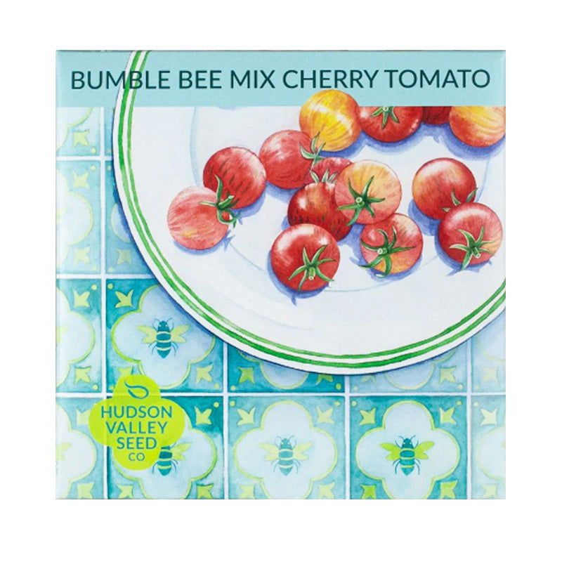 Organic Bumble Bee Cherry Tomato Mix Art Pack - Blessings Grow Meadows -