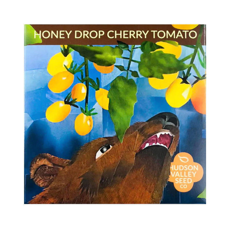 Organic Honey Drop Cherry Tomato Art Pack - Blessings Grow Meadows -