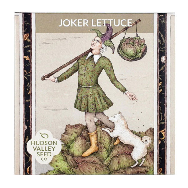 Organic Joker Lettuce Art Pack - Blessings Grow Meadows -