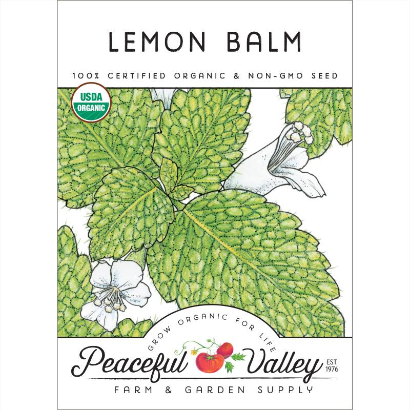 Organic Lemon Balm - Blessings Grow Meadows -