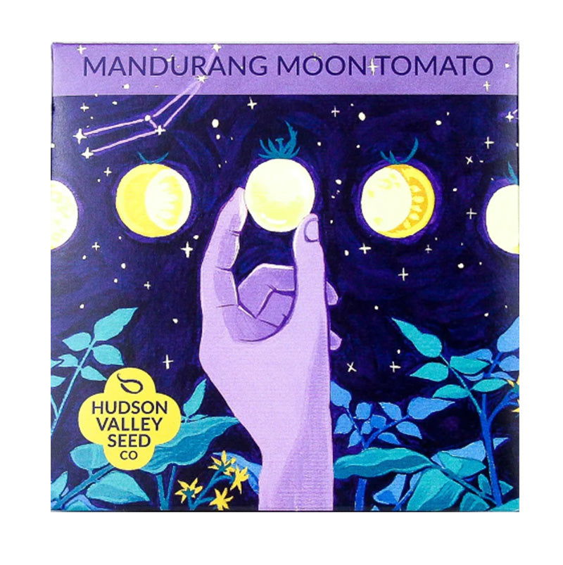 Organic Mandurang Moon Cherry Tomato Art Pack - Blessings Grow Meadows -