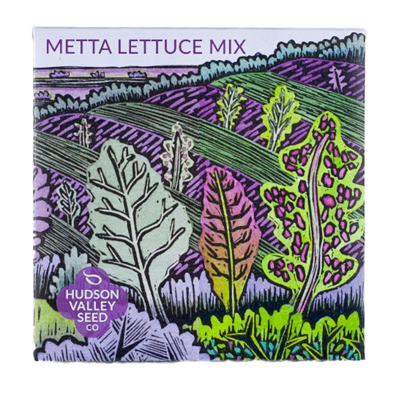 Organic Metta Lettuce Mix - Blessings Grow Meadows -