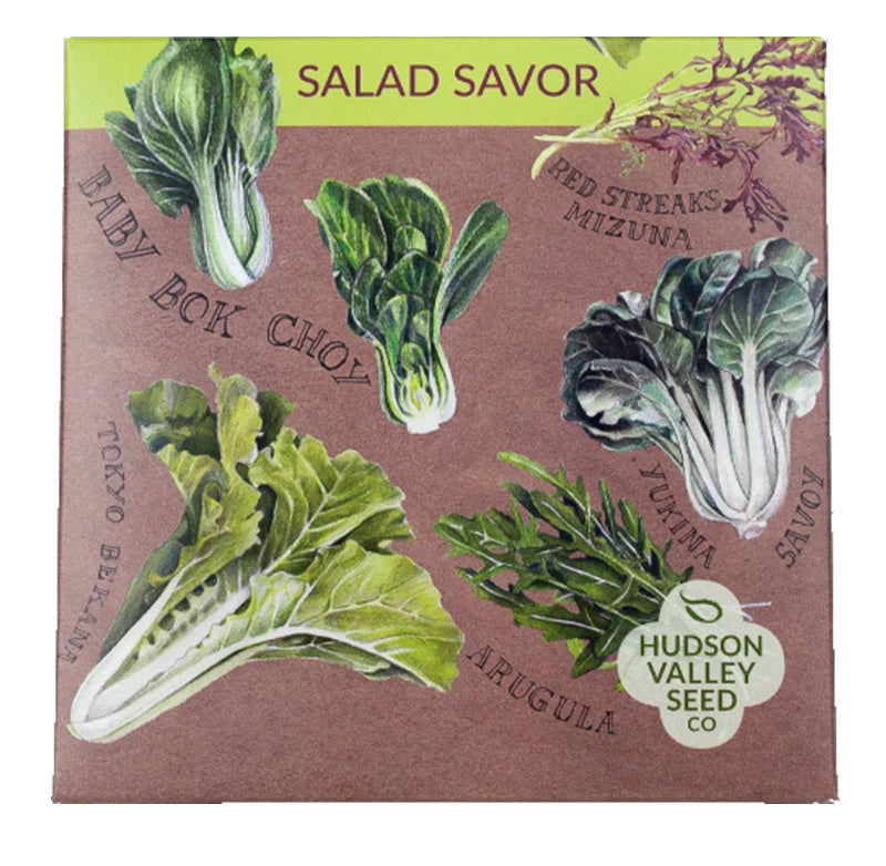 Organic Salad Savor Lettuce Mix Art Pack - Blessings Grow Meadows -