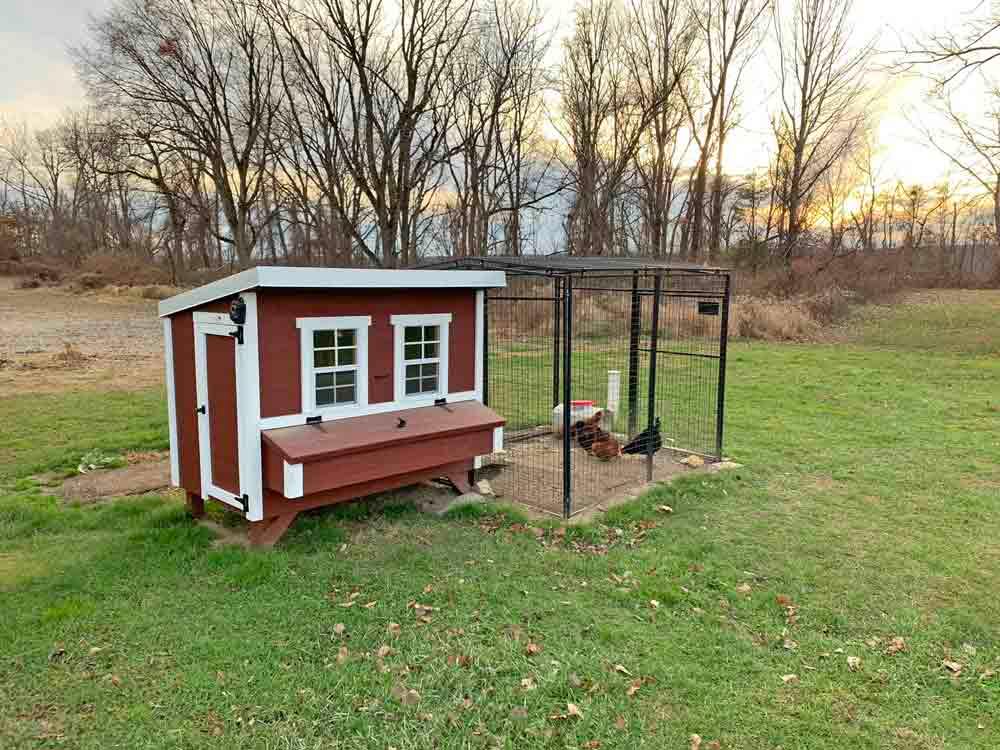 Large Chicken Coop - Up to 15 Chickens - OverEZ Chicken Coop ~ Blessings Grow Meadows